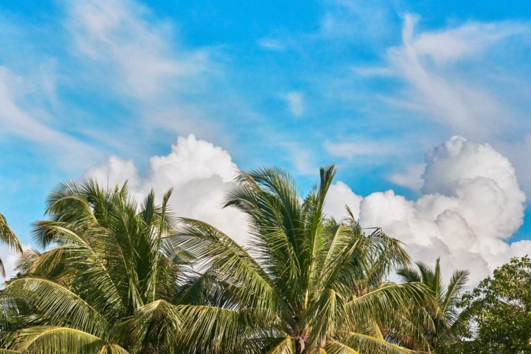 Song Saa Insel - Ambiente - Radermacher Reisen